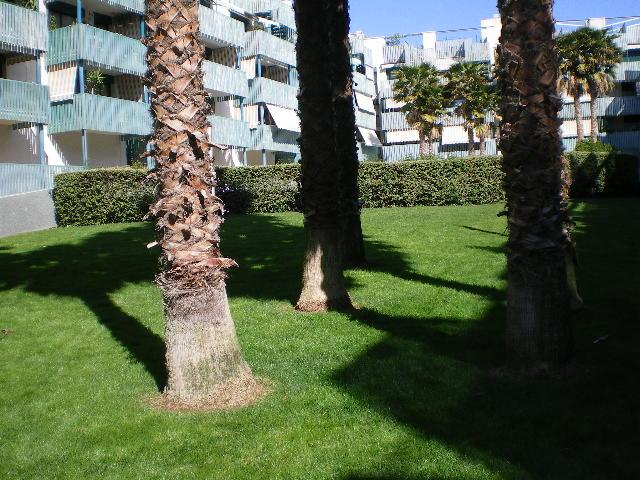PISO EN ALQUILER
