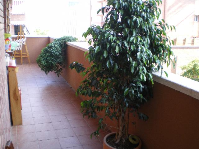 VENDIDO