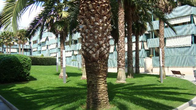 PISO EN ALQUILER