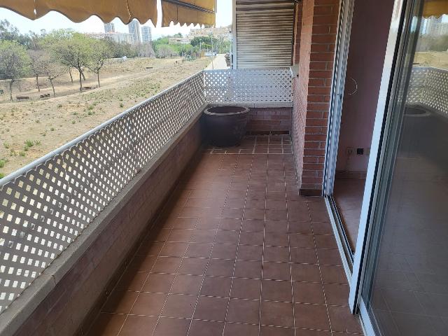 VENDIDO